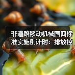 非道路移动机械国四标准实施倒计时：排放控制如何升级？（图3）