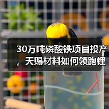 30万吨磷酸铁项目投产,天赐材料如何领跑锂电赛道?(图4) 30万吨磷酸铁项目投产,天赐材料如何领跑锂电赛道?(图4)