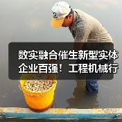 数实融合催生新型实体企业百强！工程机械行业企业排名靠前（图2）