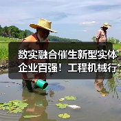 数实融合催生新型实体企业百强！工程机械行业企业排名靠前（图3）