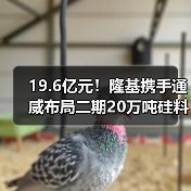 19.6亿元！隆基携手通威布局二期20万吨硅料项目