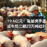 19.6亿元!隆基携手通威布局二期20万吨硅料项目(图2) 19.6亿元!隆基携手通威布局二期20万吨硅料项目(图2)