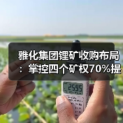 雅化集团锂矿收购布局:掌控四个矿权70%提升资源储备(图2) 雅化集团锂矿收购布局:掌控四个矿权70%提升资源储备(图2)