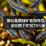 雅化集团锂矿收购布局:掌控四个矿权70%提升资源储备(图1) 雅化集团锂矿收购布局:掌控四个矿权70%提升资源储备(图1)