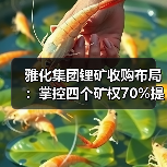 雅化集团锂矿收购布局:掌控四个矿权70%提升资源储备(图4) 雅化集团锂矿收购布局:掌控四个矿权70%提升资源储备(图4)