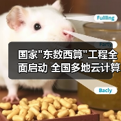 国家