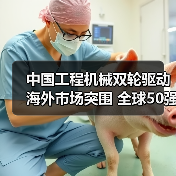 中国工程机械双轮驱动海外市场突围 全球50强榜单亮眼