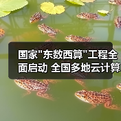 国家 国家
