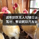浦东新区无人驾驶立法落地:智能网联汽车如何安全上路?(图2) 浦东新区无人驾驶立法落地:智能网联汽车如何安全上路?(图2)