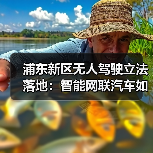 浦东新区无人驾驶立法落地:智能网联汽车如何安全上路?(图3) 浦东新区无人驾驶立法落地:智能网联汽车如何安全上路?(图3)