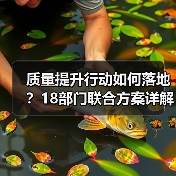 质量提升行动如何落地?18部门联合方案详解(图2) 质量提升行动如何落地?18部门联合方案详解(图2)
