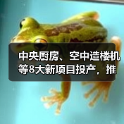 中央厨房、空中造楼机等8大新项目投产,推动产业升级与创新(图2) 中央厨房、空中造楼机等8大新项目投产,推动产业升级与创新(图2)