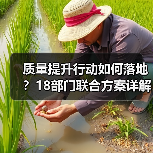 质量提升行动如何落地?18部门联合方案详解(图4) 质量提升行动如何落地?18部门联合方案详解(图4)