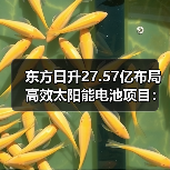 东方日升27.57亿布局高效太阳能电池项目:N型技术推动光伏升级(图3) 东方日升27.57亿布局高效太阳能电池项目:N型技术推动光伏升级(图3)