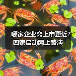 哪家企业离上市更近?四家启动网上路演(图2) 哪家企业离上市更近?四家启动网上路演(图2)