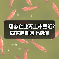 哪家企业离上市更近?四家启动网上路演(图3) 哪家企业离上市更近?四家启动网上路演(图3)