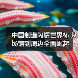 中国制造闪耀世界杯 从场馆到周边全面崛起(图1) 中国制造闪耀世界杯 从场馆到周边全面崛起(图1)