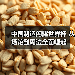 中国制造闪耀世界杯 从场馆到周边全面崛起(图2) 中国制造闪耀世界杯 从场馆到周边全面崛起(图2)