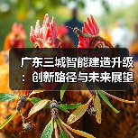 广东三城智能建造升级:创新路径与未来展望(图1) 广东三城智能建造升级:创新路径与未来展望(图1)