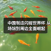 中国制造闪耀世界杯 从场馆到周边全面崛起(图3) 中国制造闪耀世界杯 从场馆到周边全面崛起(图3)