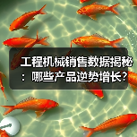 工程机械销售数据揭秘：哪些产品逆势增长？