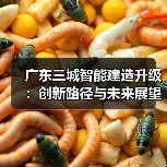 广东三城智能建造升级:创新路径与未来展望(图3) 广东三城智能建造升级:创新路径与未来展望(图3)