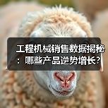 工程机械销售数据揭秘:哪些产品逆势增长?(图2) 工程机械销售数据揭秘:哪些产品逆势增长?(图2)