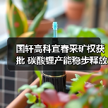 国轩高科宜春采矿权获批 碳酸锂产能稳步释放(图4) 国轩高科宜春采矿权获批 碳酸锂产能稳步释放(图4)
