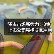 资本市场新势力:3家上市公司亮相 2家冲刺IPO(图1) 资本市场新势力:3家上市公司亮相 2家冲刺IPO(图1)