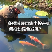 多领域项目集中投产如何推动绿色发展？