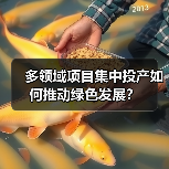 多领域项目集中投产如何推动绿色发展?(图2) 多领域项目集中投产如何推动绿色发展?(图2)