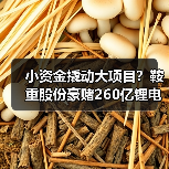 小资金撬动大项目?鞍重股份豪赌260亿锂电全产业链能否成?(图1) 小资金撬动大项目?鞍重股份豪赌260亿锂电全产业链能否成?(图1)