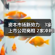 资本市场新势力:3家上市公司亮相 2家冲刺IPO(图4) 资本市场新势力:3家上市公司亮相 2家冲刺IPO(图4)