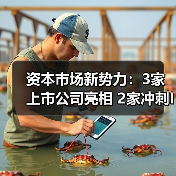 资本市场新势力:3家上市公司亮相 2家冲刺IPO(图3) 资本市场新势力:3家上市公司亮相 2家冲刺IPO(图3)