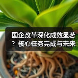 国企改革深化成效显著？核心任务完成与未来方向解析