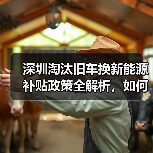 深圳淘汰旧车换新能源补贴政策全解析,如何申请?(图2) 深圳淘汰旧车换新能源补贴政策全解析,如何申请?(图2)