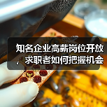 知名企业高薪岗位开放，求职者如何把握机会？（图4）