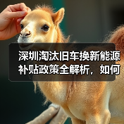 深圳淘汰旧车换新能源补贴政策全解析,如何申请?(图4) 深圳淘汰旧车换新能源补贴政策全解析,如何申请?(图4)
