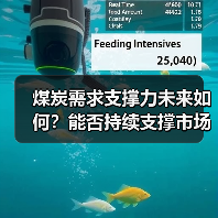 煤炭需求支撑力未来如何？能否持续支撑市场？（图2）