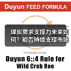 煤炭需求支撑力未来如何？能否持续支撑市场？（图4）