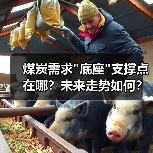 煤炭需求