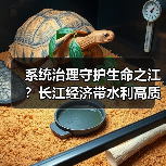 系统治理守护生命之江?长江经济带水利高质量发展路径(图2) 系统治理守护生命之江?长江经济带水利高质量发展路径(图2)