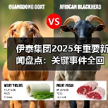 伊泰集团2025年重要新闻盘点：关键事件全回顾